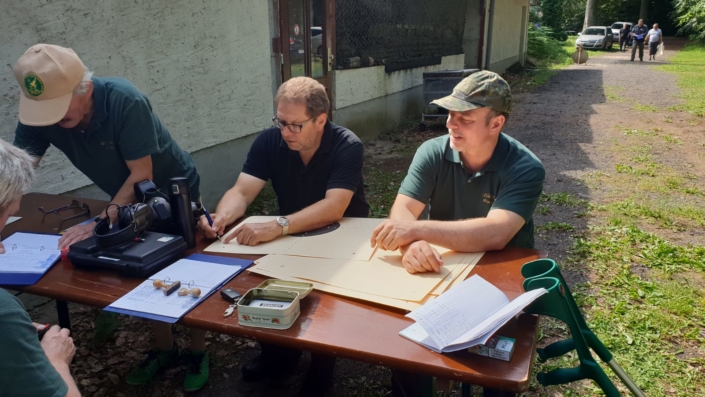 Auswertung der Ergebnisse 5.