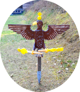 Vogelkönig 2019